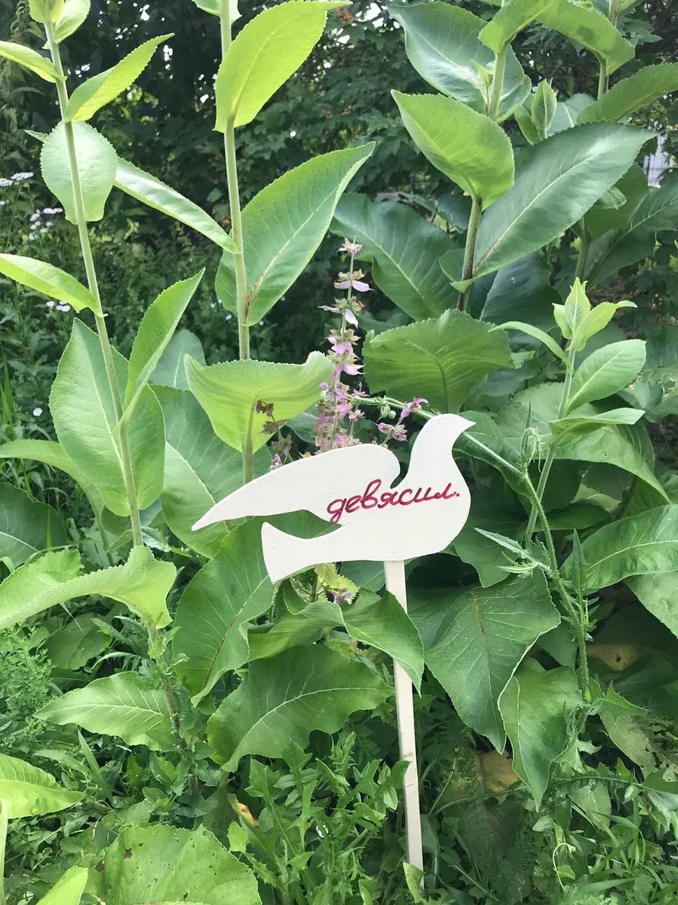 WhatsApp Image 2025-07-03 at 10.24.29 (1)