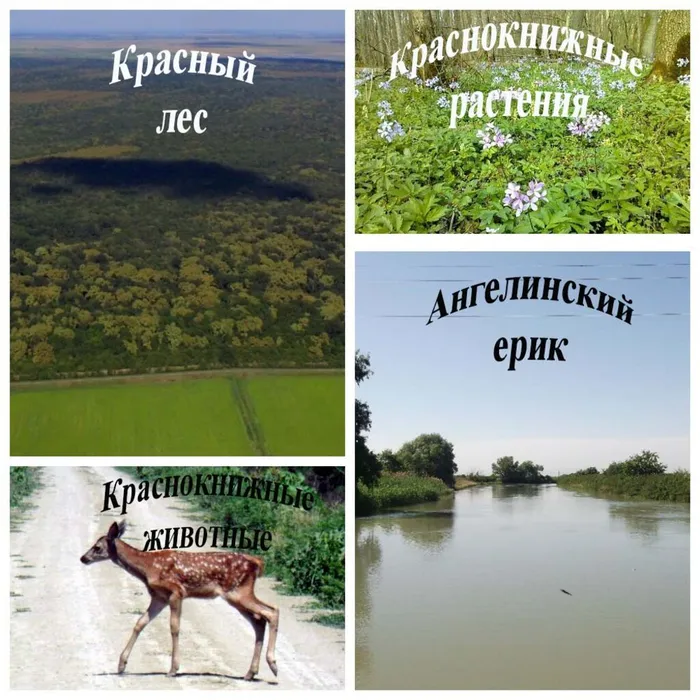 ehkotur_druzja_zemli.jpg