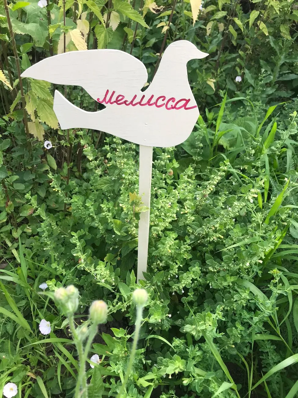 WhatsApp Image 2025-07-03 at 10.24.30 (1)