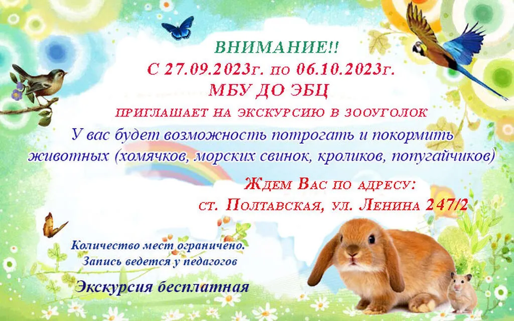 открытка экскурсия