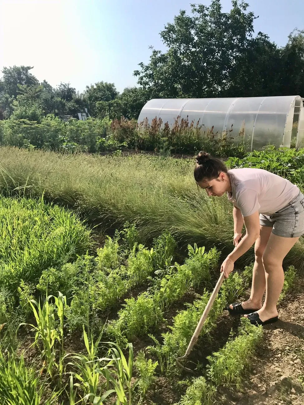 WhatsApp Image 2025-06-09 at 14.48.16 (3)