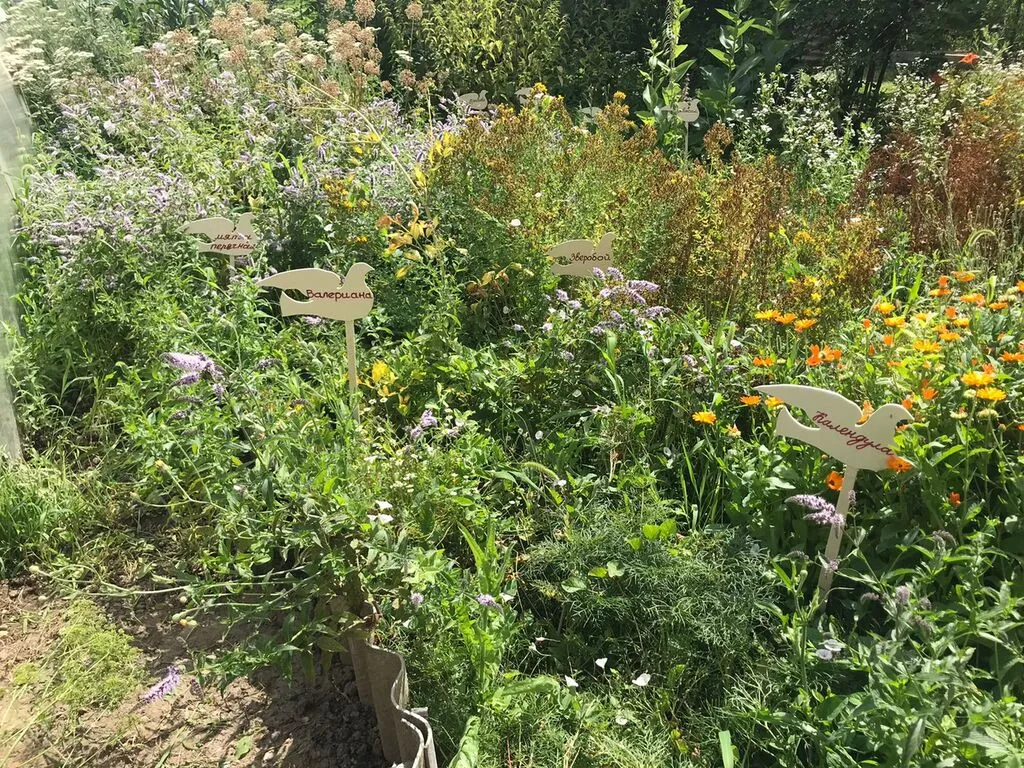 WhatsApp Image 2025-07-03 at 10.24.27 (1)