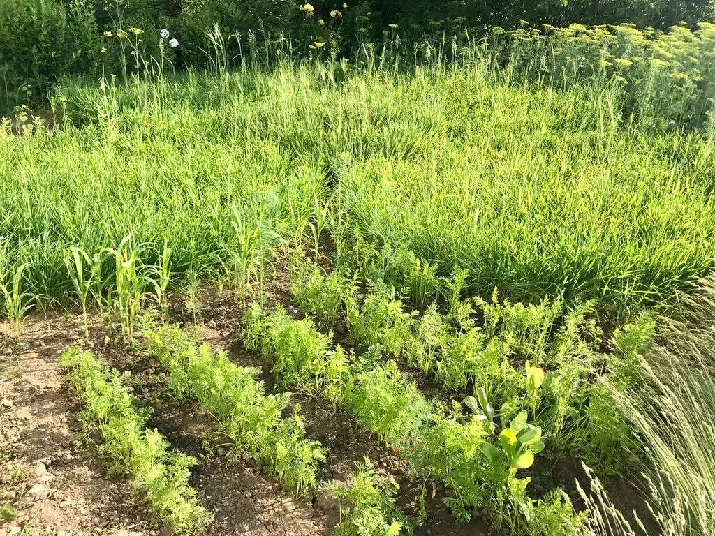 WhatsApp Image 2025-06-09 at 14.48.16 (1)