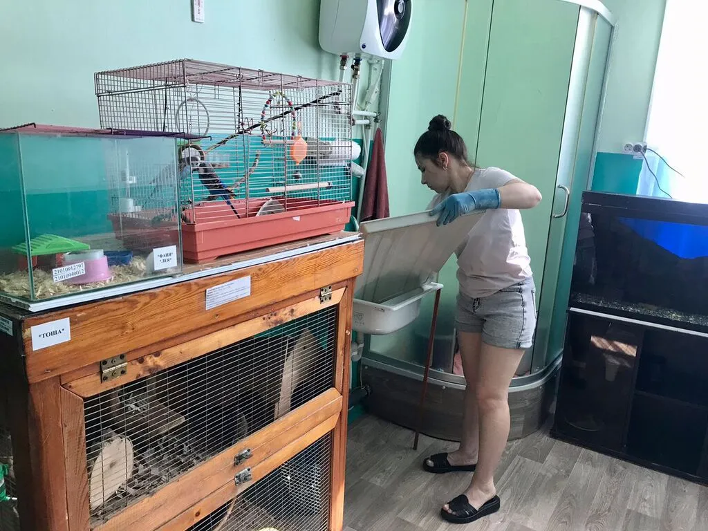 WhatsApp Image 2025-06-09 at 14.48.18