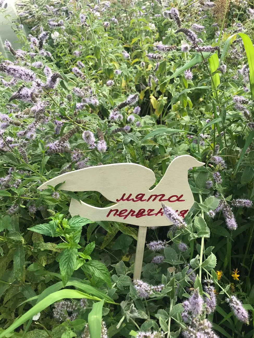 WhatsApp Image 2025-07-03 at 10.24.28 (3)