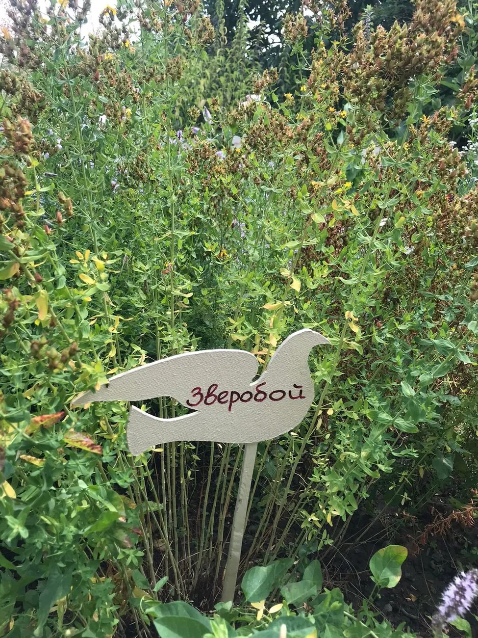 WhatsApp Image 2025-07-03 at 10.24.28 (1)