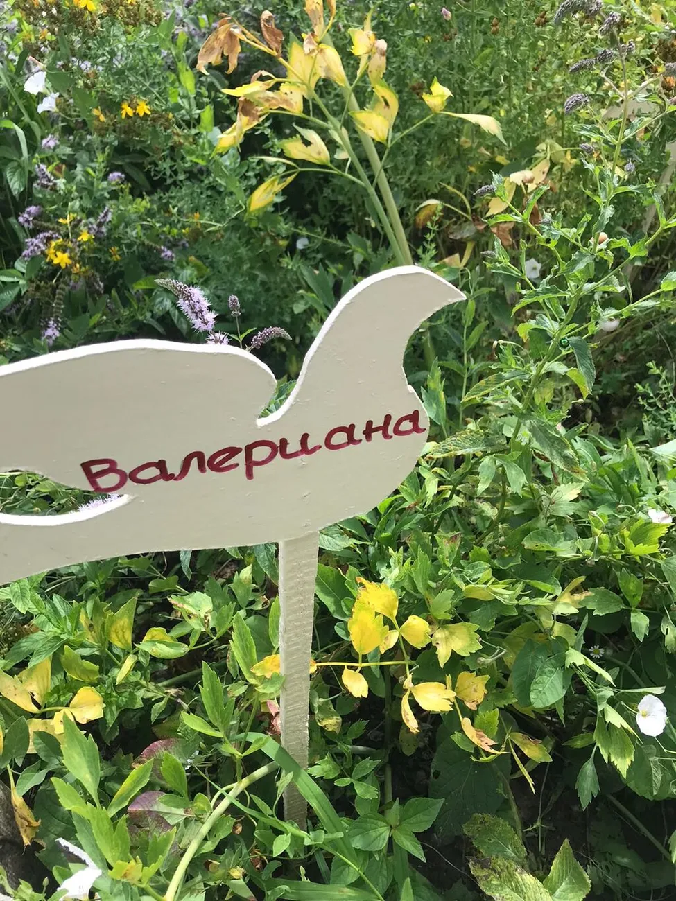 WhatsApp Image 2025-07-03 at 10.24.28