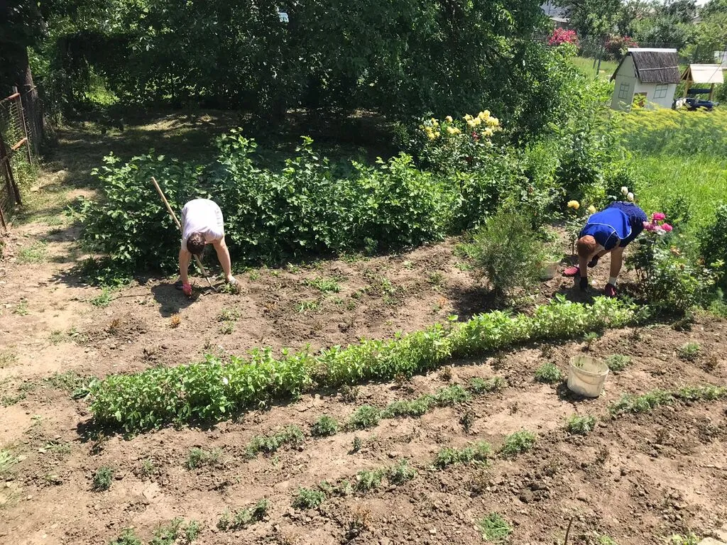 WhatsApp Image 2025-06-09 at 14.48.18 (1)