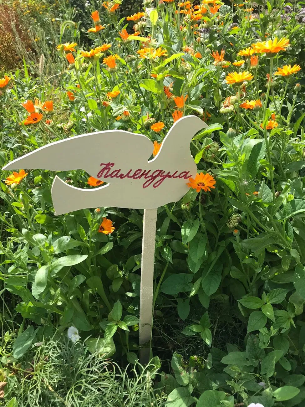 WhatsApp Image 2025-07-03 at 10.24.27 (2)