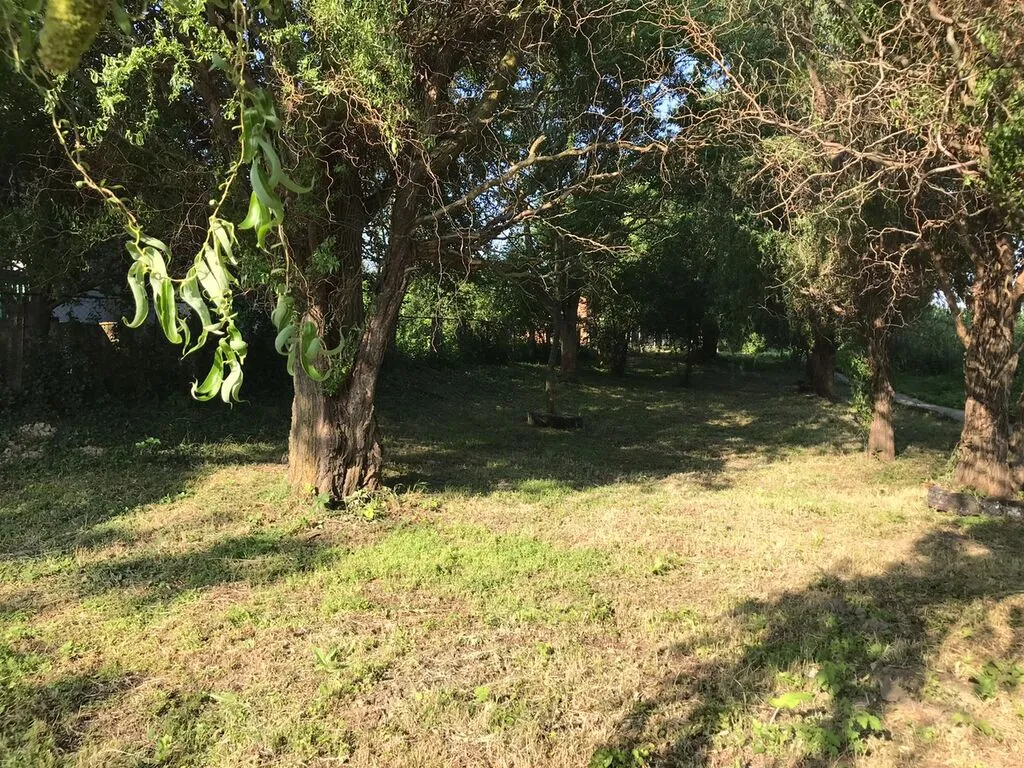 WhatsApp Image 2025-06-09 at 14.48.15