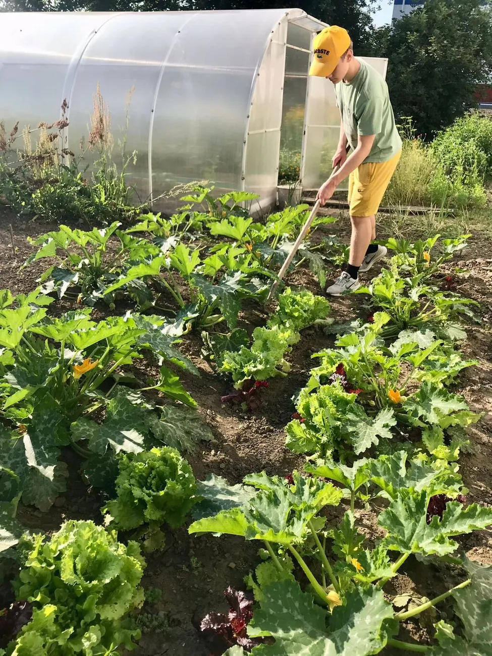 WhatsApp Image 2025-06-09 at 14.48.15 (3)