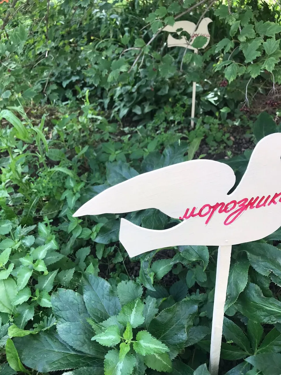 WhatsApp Image 2025-07-03 at 10.24.28 (2)