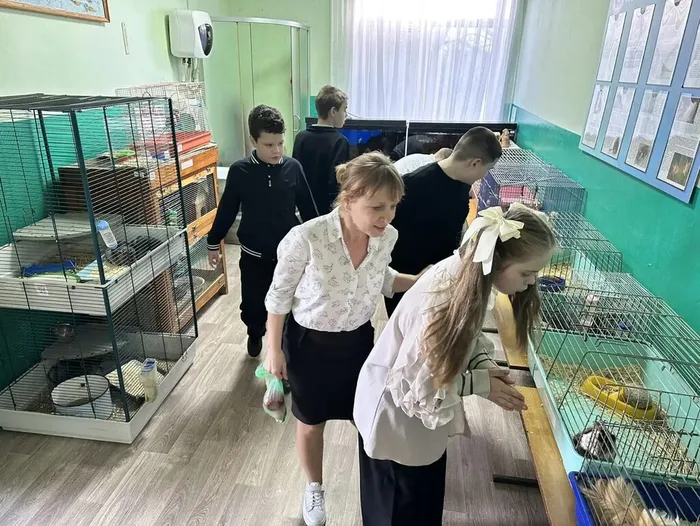 WhatsApp Image 2025-11-18 at 16.06.46