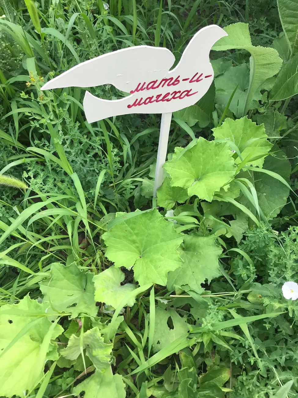 WhatsApp Image 2025-07-03 at 10.24.30