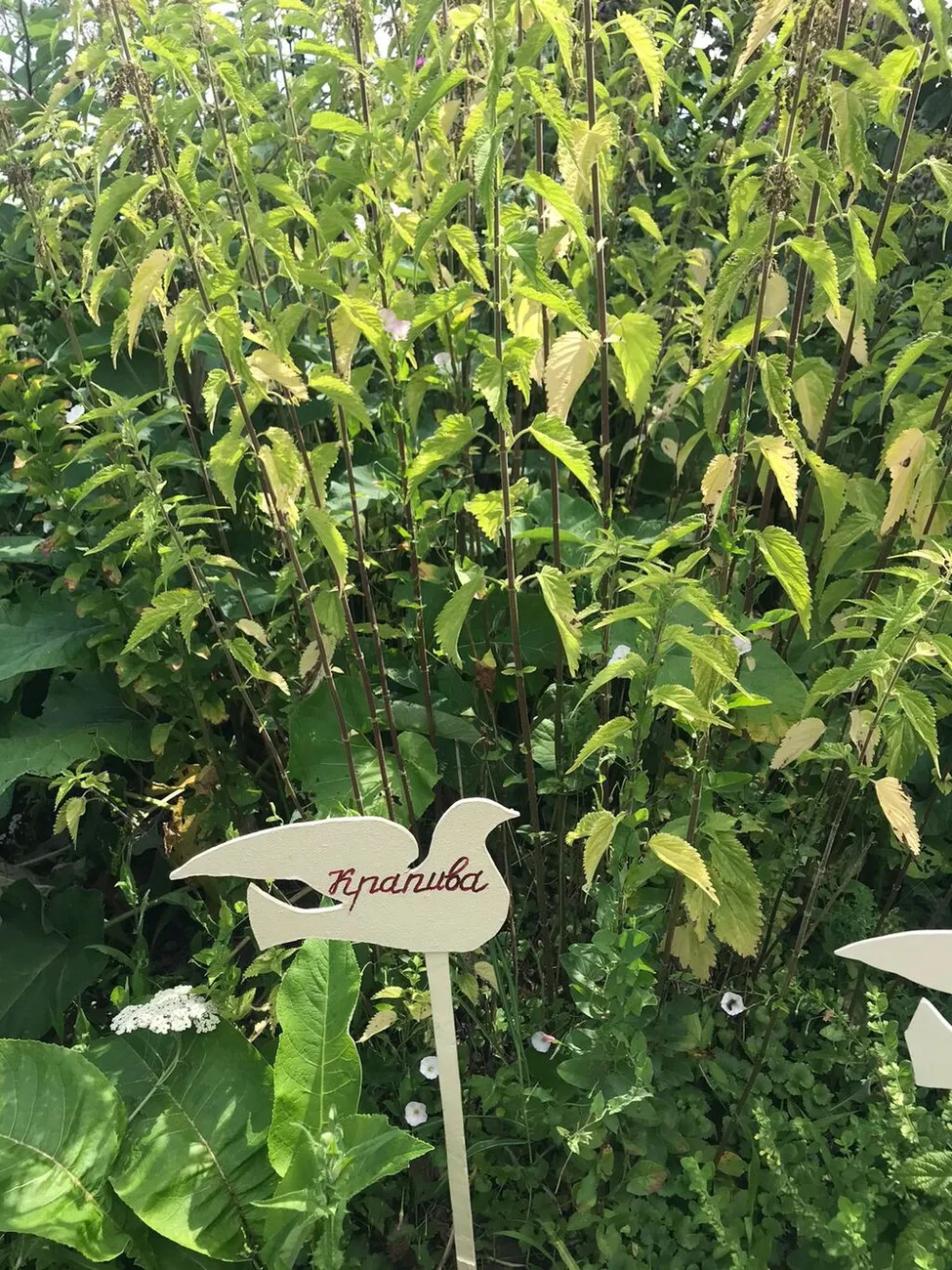 WhatsApp Image 2025-07-03 at 10.24.30 (2)