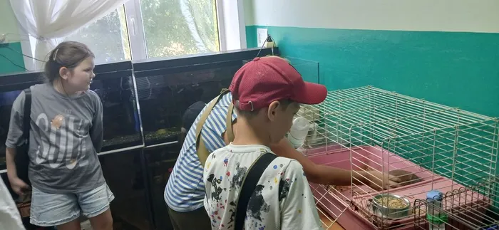 20260709_105301