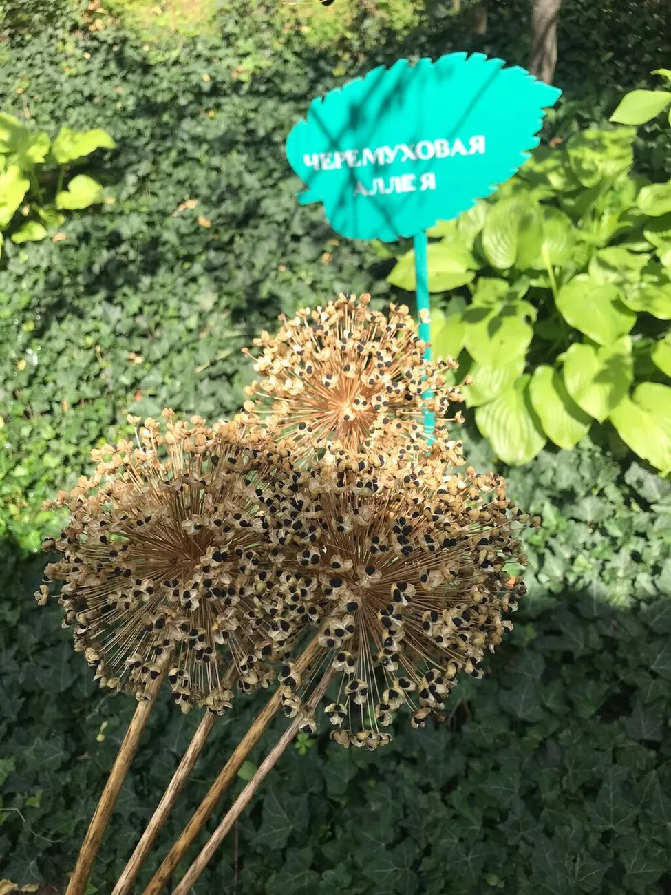 WhatsApp Image 2025-07-03 at 10.24.27