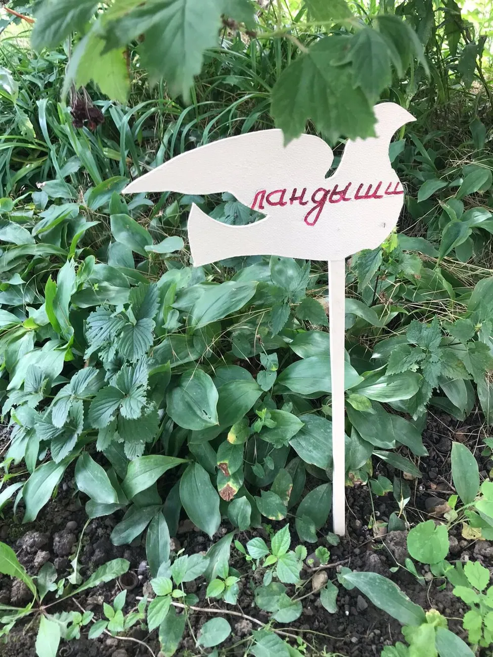 WhatsApp Image 2025-07-03 at 10.24.29